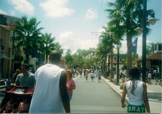 Hollywood Studios, Disney World (I had never seen a real palm tree until this trip! Lol!)