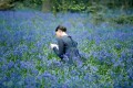 John Keats and His Bright Star, Fanny Brawne