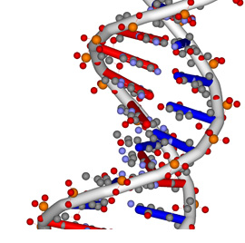 ...and this is their DNA CODE...