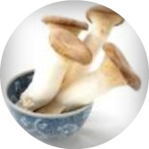 oyster mushrooms