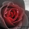 Secrets101 profile image