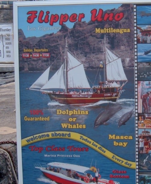 Boat trips sign