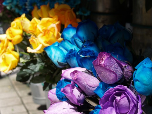 Yellow Roses mean friendship. Blue Roses mean unattainable. Purple Roses means love at first sight.