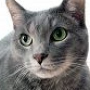kellie james profile image