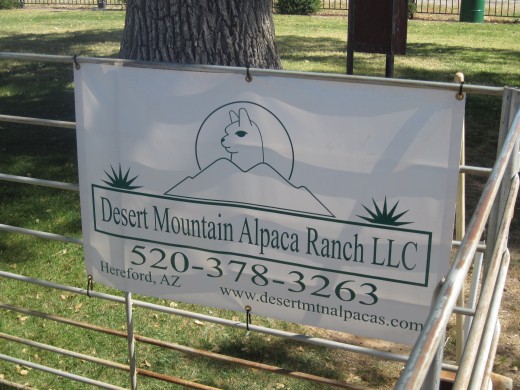 This exhibitor at the 2009 Wilcox Arizona Wine Festival was promoting Alpaca Llama Raising - He and His wife left the corporate world and moved to rural Arizona to raise Alpacas for a living.