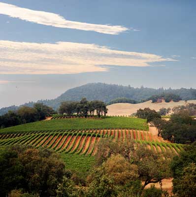 Napa Valley, California