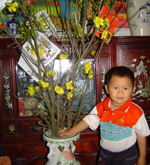 Vietnamese Lunar New Year Tree