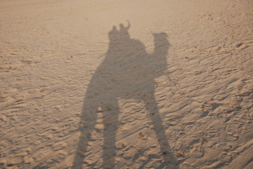 Camel safari - not to be missed !