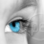 Jeffrayteta12 profile image