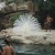 Singapore Zoo Singapore Zoo