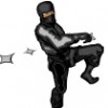 Information Ninja profile image