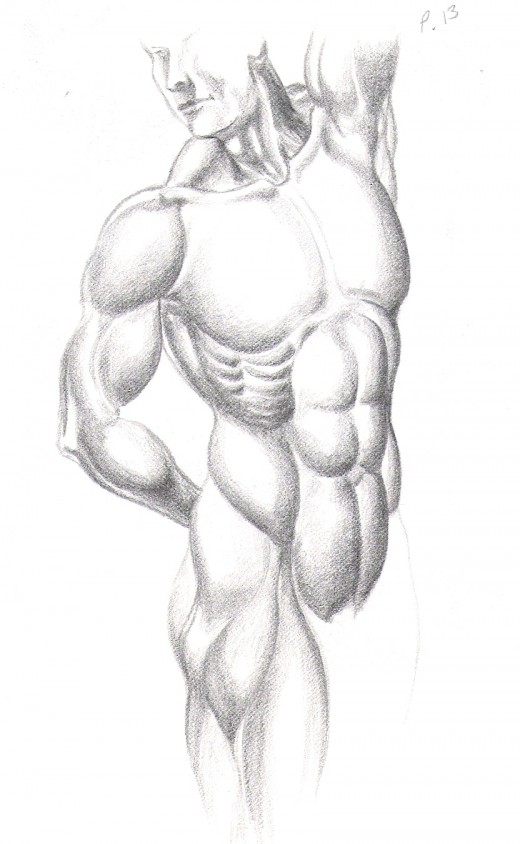 Anatomical figure drawing