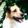 dTexyL8y profile image