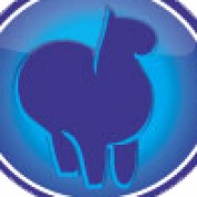 alpacaspace profile image
