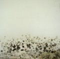All About Toxic Black Mold, with How-To Videos