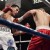 Jose Benavidez scoring a first round KO Jose Benavidez scoring a first round KO