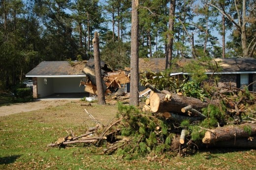 My neighbor's house