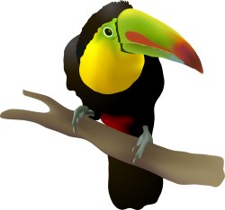 Oops! I thought I heard toucan.