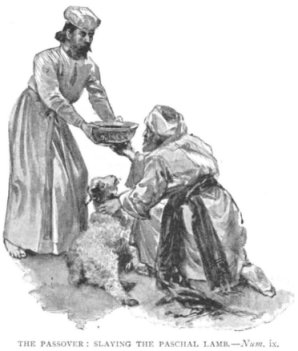 the passover Lamb delivered Israel 