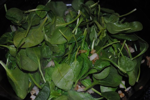 Fresh spinach in - it looks like a lot, but...