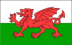The Welsh Flag