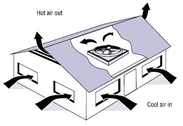 Whole house fan air flow -- image credit: eere.energy.gov