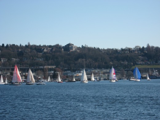 There's also a sailboat event today. Lake Union is crowded, but it's beautiful!