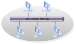 Explanation of Ring, Bus, and Star Network Topology Types
