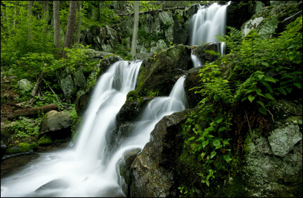 A Shenandoah Park Waterfall