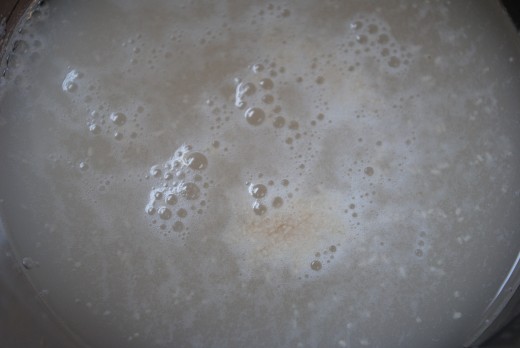 Yeast 'blooming' or 'proofing' in warm water. You'll see it foaming and bubbling.