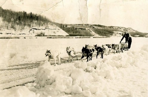 Dog sledding 1954. Photo shot in Manitoba (public domain photos this page). 