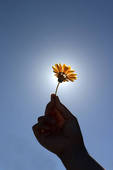 Reaching Out with Love