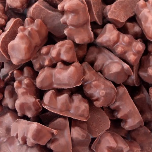 Chocolate Dipped Gummy Bears