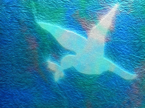 Dove of peace