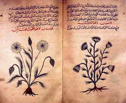 Arabic Herbal Medicine from the 13th Century