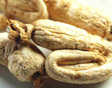 Dong quai or ginseng is commonly used to make chicken soup.