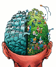 A system to develop thinking and learning -TFA script