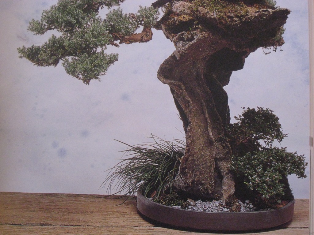 EASY WAY TO MAKE BONSAI AT HOME HubPages