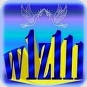 w1z111 profile image