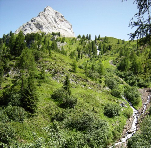 panorama of the Alpine meadows