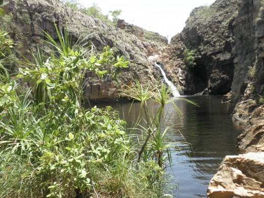Taking a swim in Kakadu waterfall.
