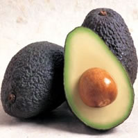 Advocado