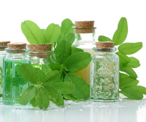 Naturopathy utilized natural healing such as herbal remedies