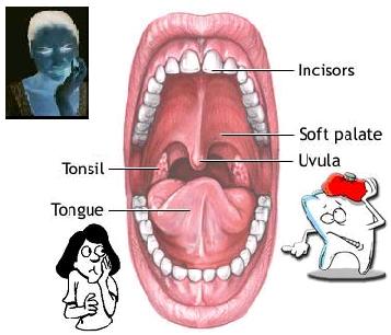 Buy clove mouthwash for bad breath and buy clove toothpaste for chronic toothache.
