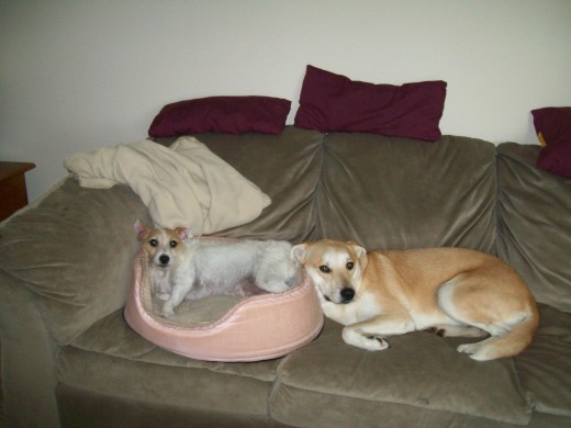 Chloe & Maggie