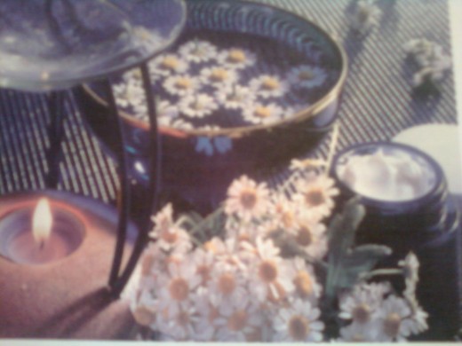 Chamomile