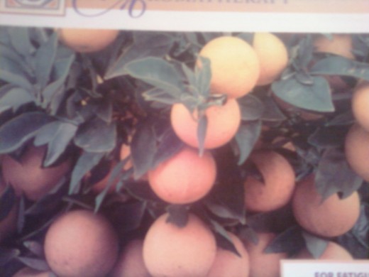 Orange