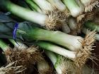 Leeks from the garden