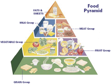 Food Pyramid