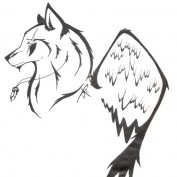 kit wyld profile image